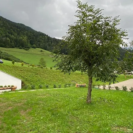 Apartament Apartma Lupis *