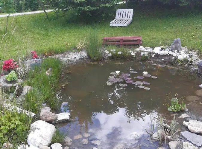 Apartma Lupis 公寓 *