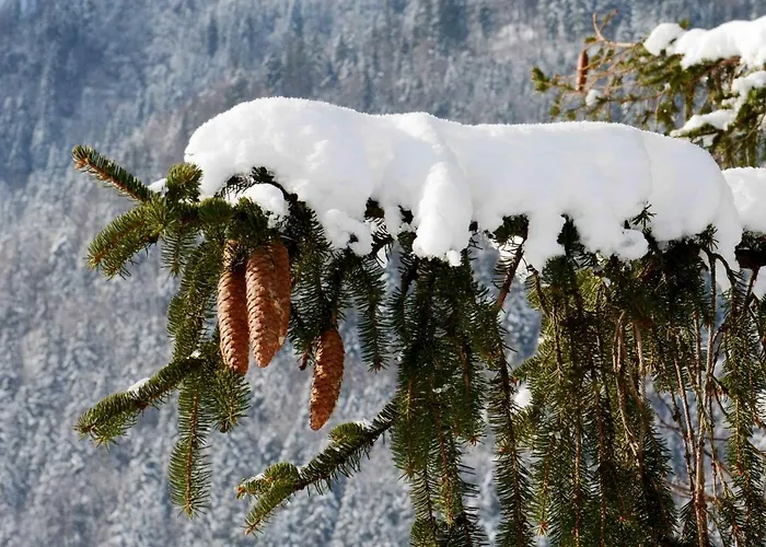 Apartma Lupis * Podvolovljek