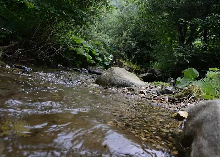 Apartma Lupis 公寓